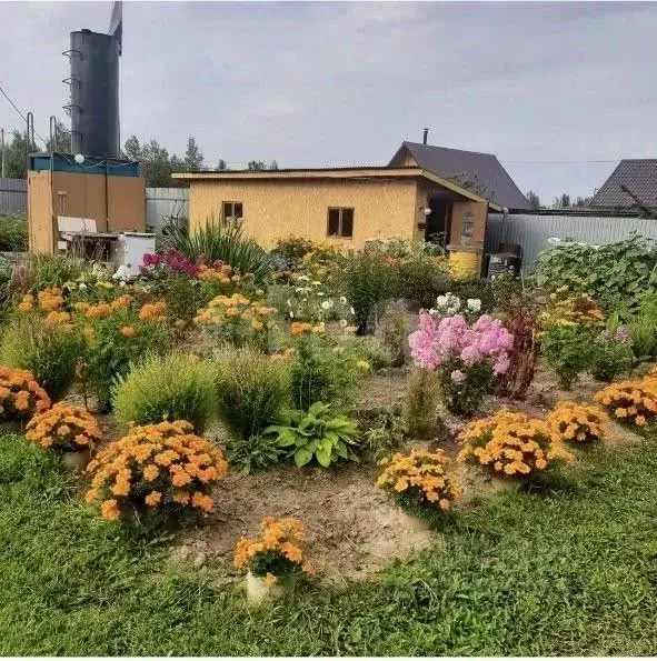 Дом в Тюменская область, Ярковский муниципальный округ, пос. Веселый ... - Фото 1