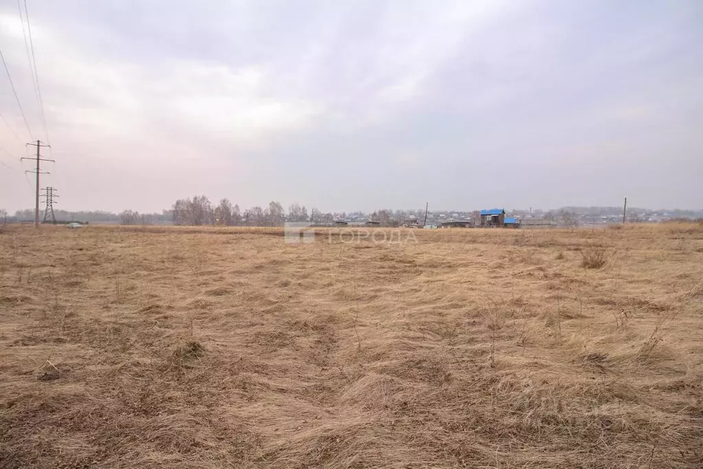 Участок в Алтайский край, Барнаул городской округ, пос. Центральный  ... - Фото 0