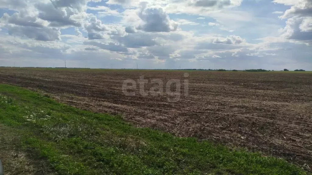 Участок в Омская область, Шербакульский район, с. Борисовское  (1390.0 ... - Фото 1