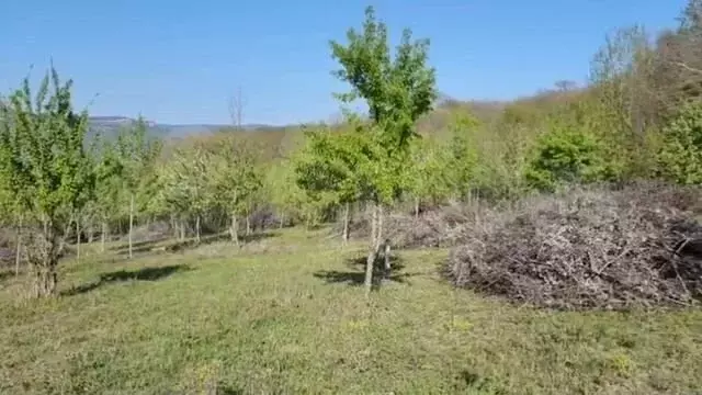Участок 8,1 сот. (ИЖС) - Фото 1