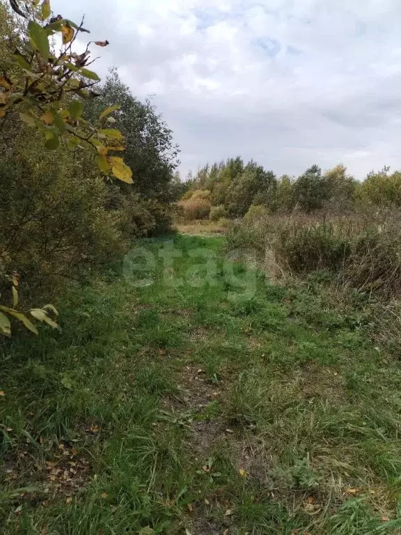 Участок в Вологодская область, Вологда Акация садоводческое ... - Фото 2