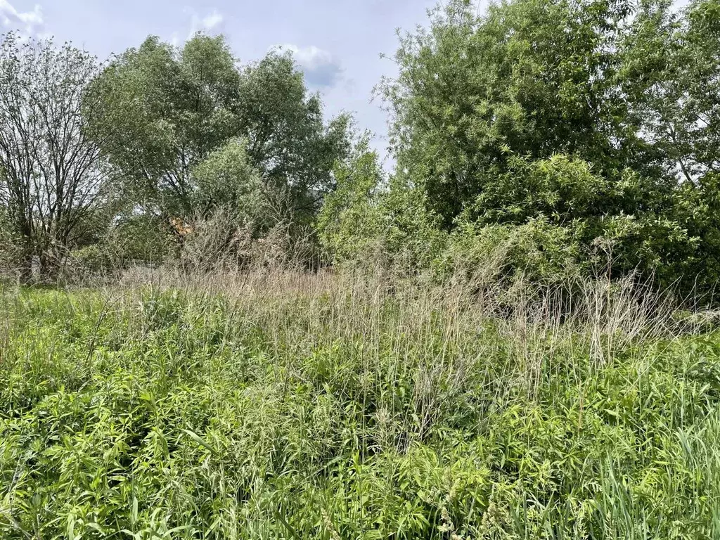 Участок в Московская область, Раменское Гостица мкр, ул. Гостица, 96 ... - Фото 2