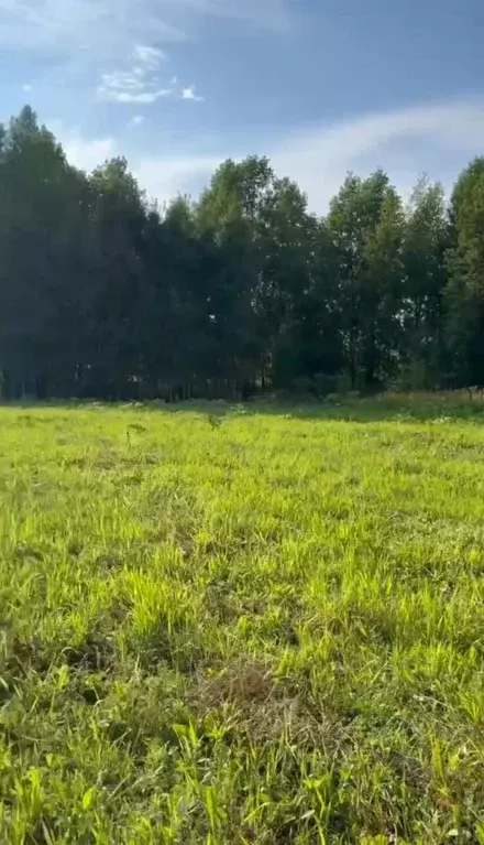 Участок в Пермский край, Пермский муниципальный округ, д. Большакино  ... - Фото 2