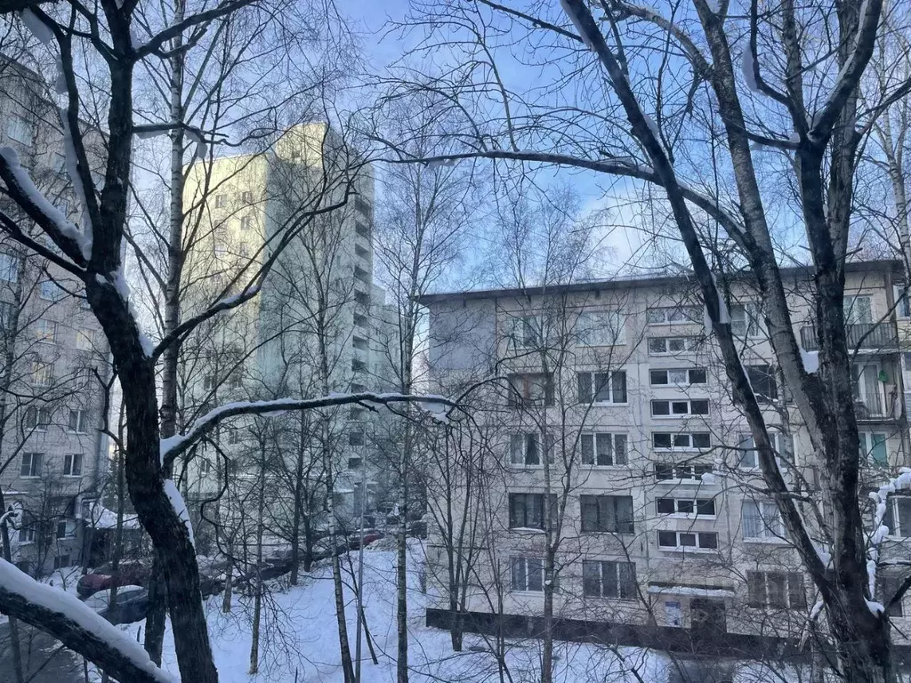 4-к кв. Санкт-Петербург просп. Просвещения, 82К3 (70.1 м) - Фото 1