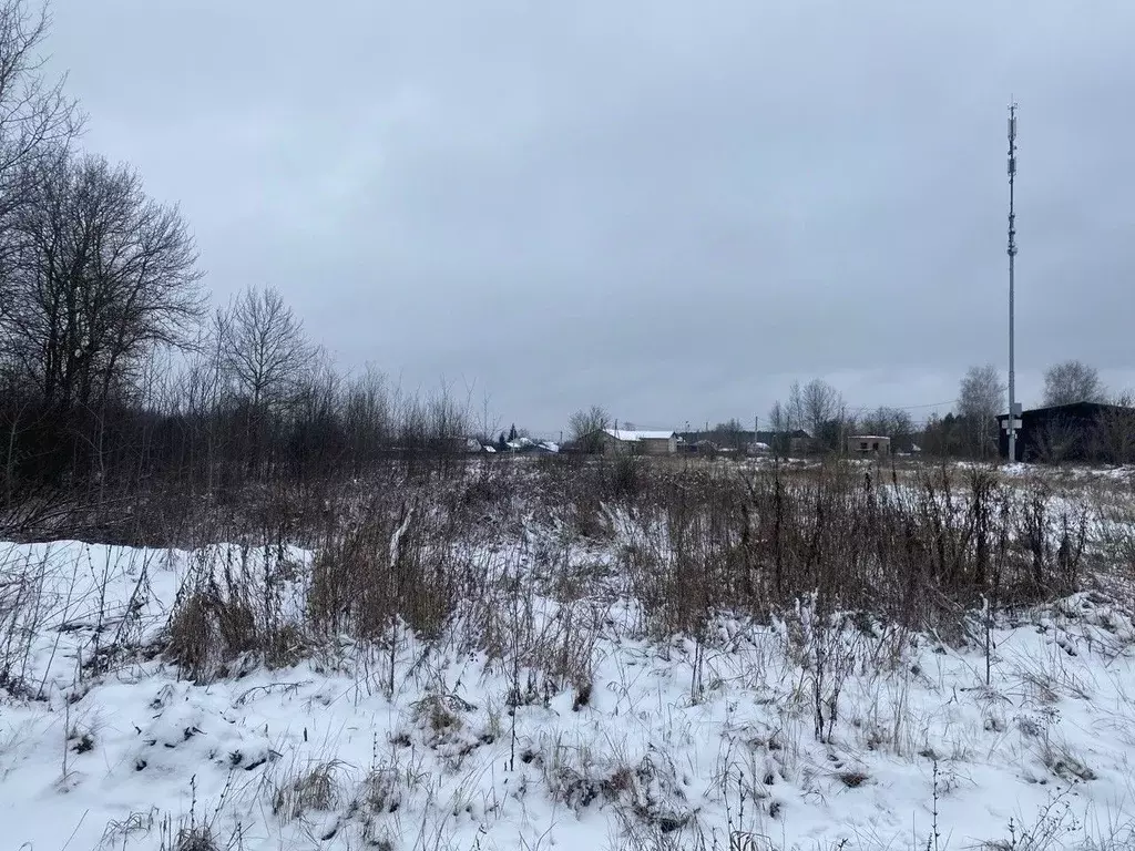 Участок в Московская область, Орехово-Зуевский городской округ, д. ... - Фото 1