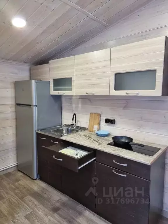 Дом в Камчатский край, Елизово пер. 9-й Лыжный, 1 (25 м) - Фото 1