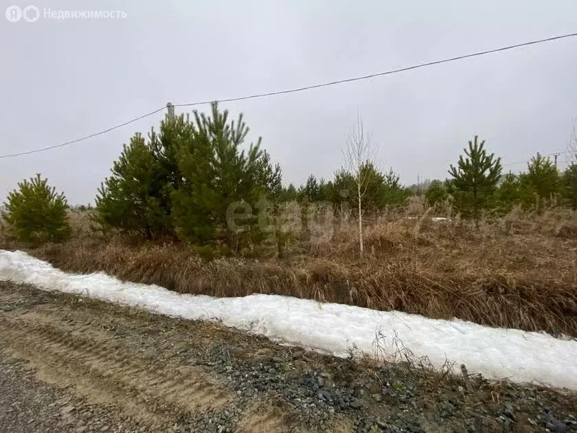 Участок в село Нижняя Тавда, улица Михаила Митяшина (13.2 м) - Фото 2