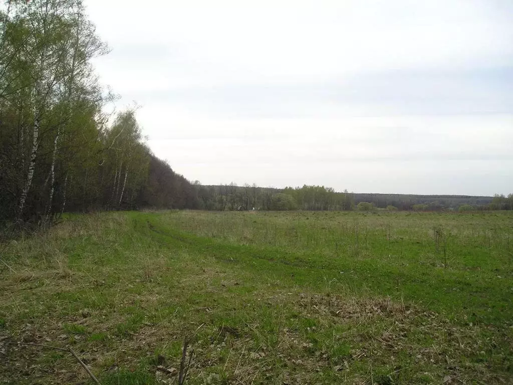 Участок в Захарово, деревня Захарово (1500 м) - Фото 0