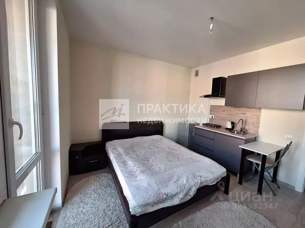 Студия Московская область, Балашиха ш. Косинское, 12 (19.2 м) - Фото 1