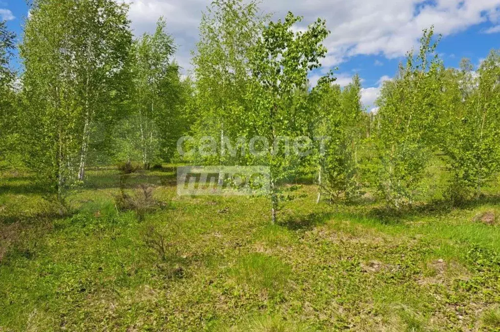 Участок 19,52 га (ИЖС) - Фото 1