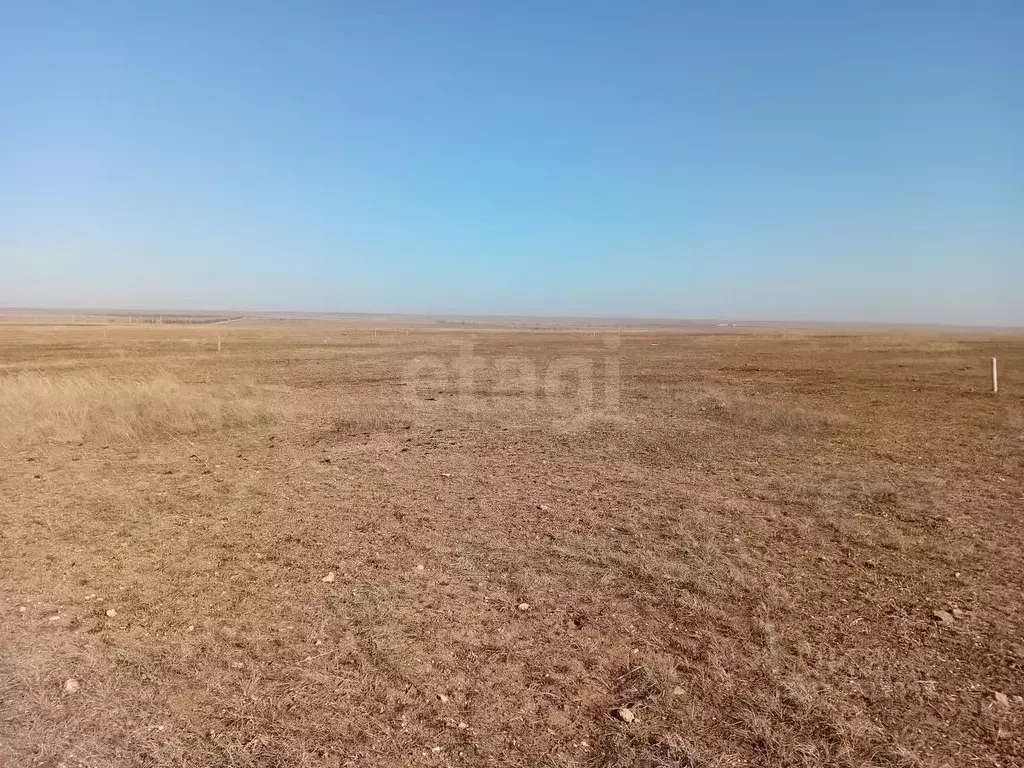 Участок в Крым, Черноморский район, Медведевское с/пос, с. Медведево  ... - Фото 0