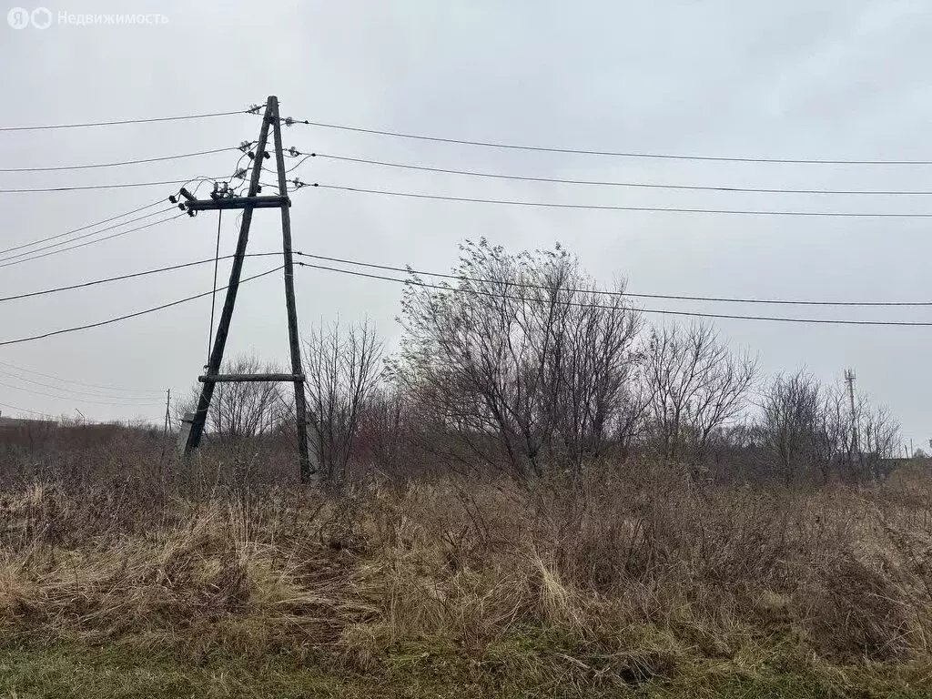 Участок в Стародубское, Рыбная улица (12.3 м) - Фото 1