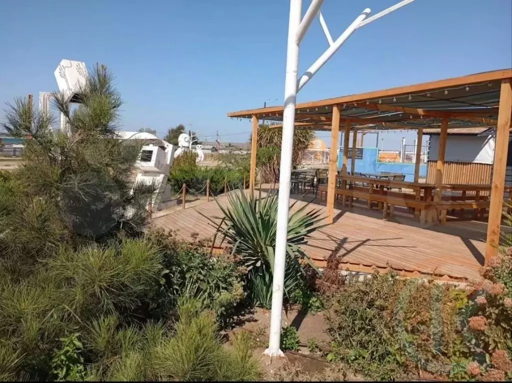 Участок в Крым, Черноморский район, Оленевское с/пос, с. Оленевка ул. ... - Фото 2