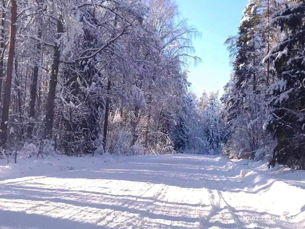 Коттедж в Ленинградская область, Лужское городское поселение, пос. ... - Фото 1