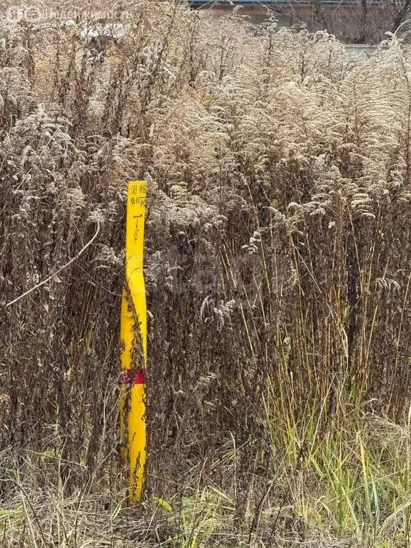 Участок в Толмачево, СДТ Ветеран-2 (12 м) - Фото 2
