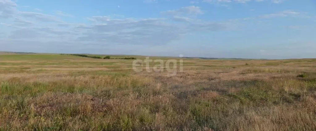 Участок в Волгоградская область, Среднеахтубинский район, Фрунзенское ... - Фото 0