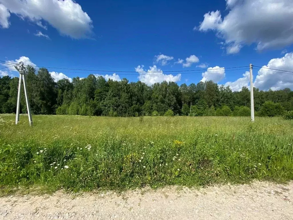 Участок в Калужская область, Калуга городской округ, д. Лихун 275 ... - Фото 0