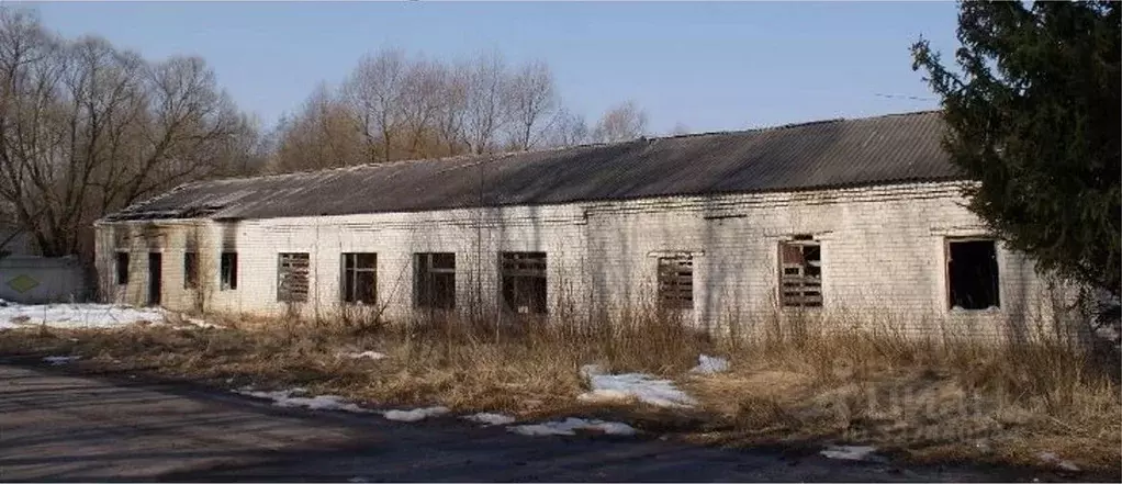 Помещение свободного назначения в Брянская область, Навля рп ул. ... - Фото 1
