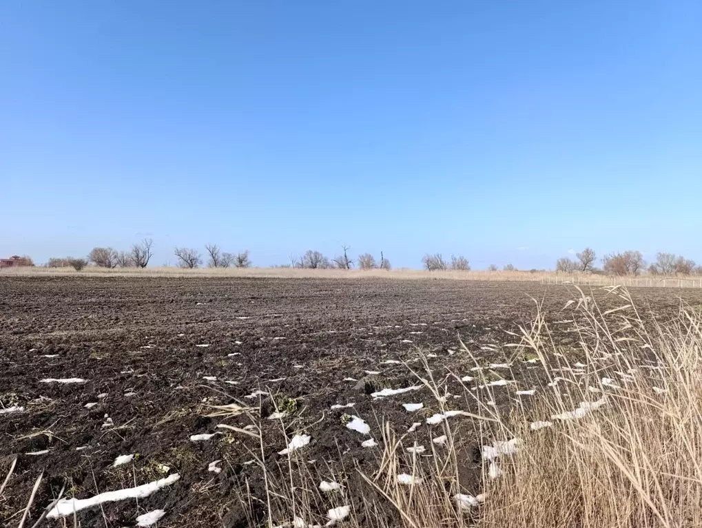 Участок в Краснодарский край, Славянский район, Голубая Нива с/пос  ... - Фото 2