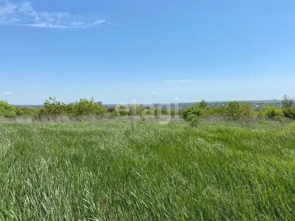 Участок в Ростовская область, Азовский район, Елизаветинское с/пос, ... - Фото 1