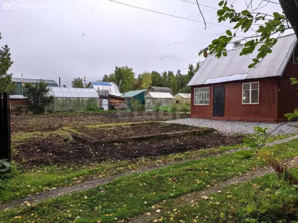 Дом в Новосибирск, СНТ Кедр (26 м) - Фото 1