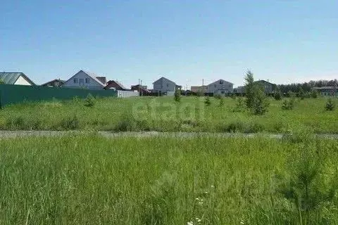 Участок в Курганская область, Кетовский муниципальный округ, пос. ... - Фото 2