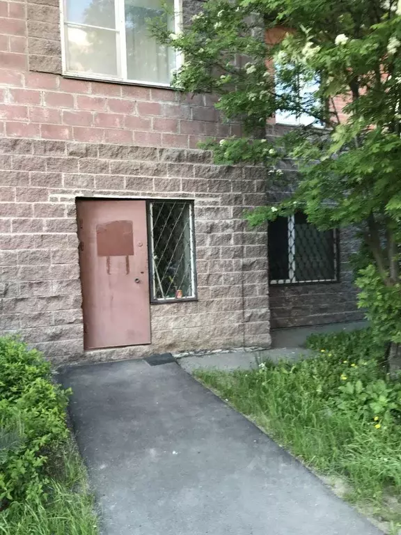 Помещение свободного назначения в Санкт-Петербург Новоколомяжский ... - Фото 1