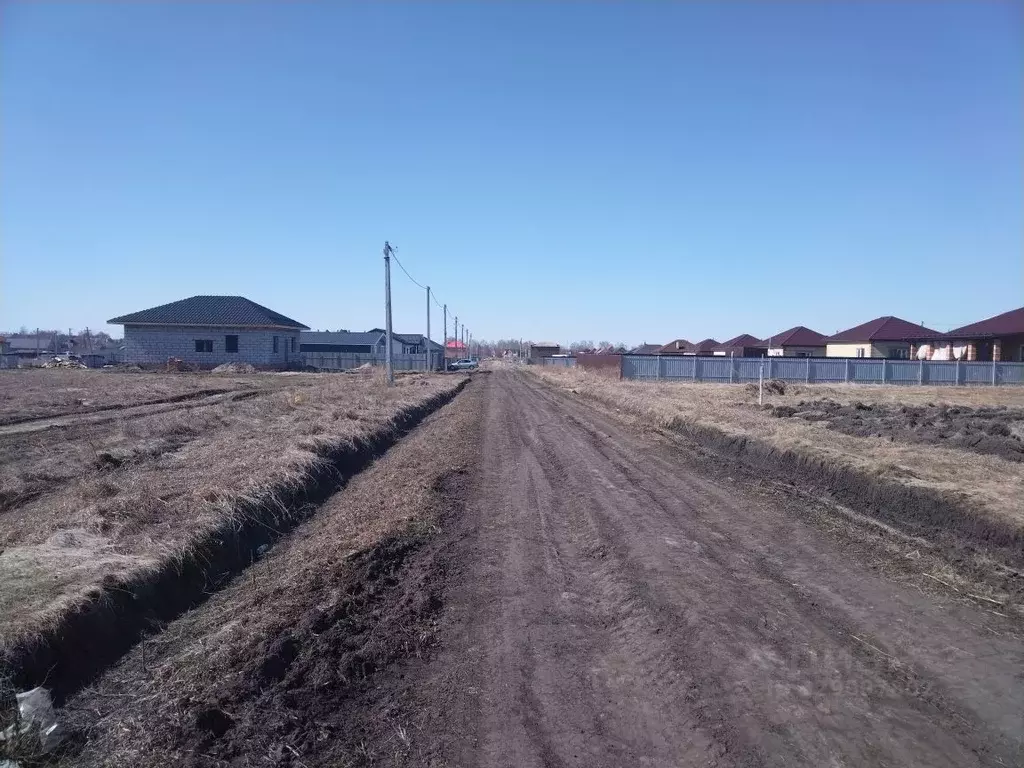 Участок в Омская область, Омский район муниципальный округ, Зеленый ... - Фото 2