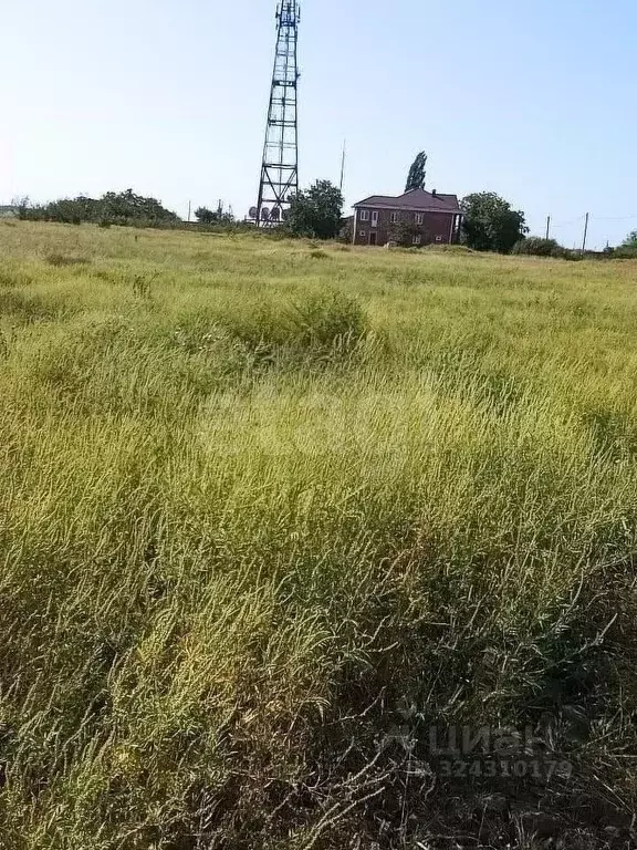 Участок в Краснодарский край, Ейский район, Александровское с/пос, с. ... - Фото 1
