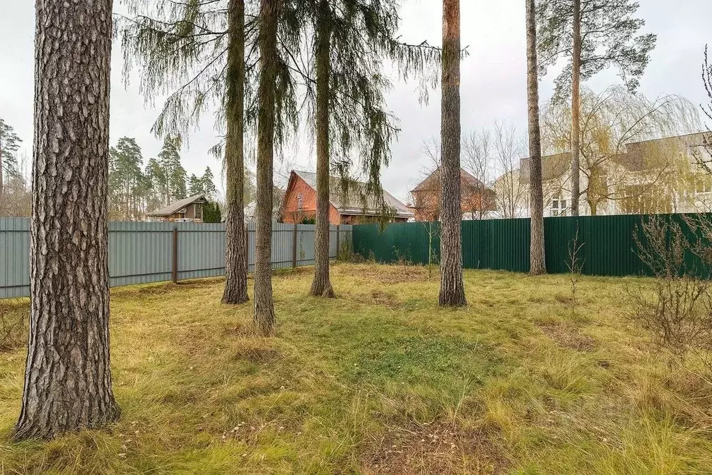Участок в Московская область, Щелково ул. Рудакова (9.0 сот.) - Фото 2