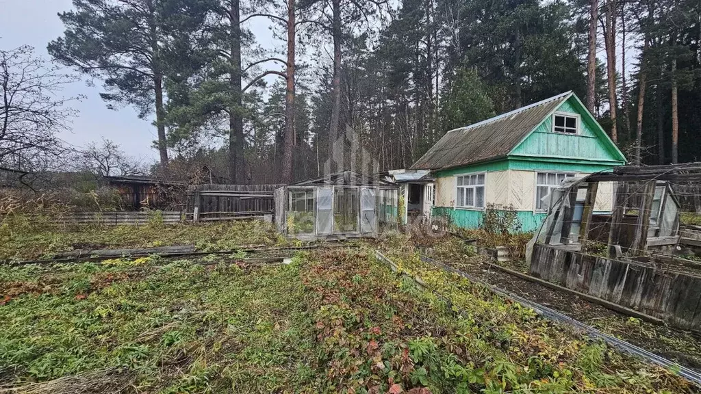 Дом в Брянская область, Сельцо  (25 м) - Фото 1