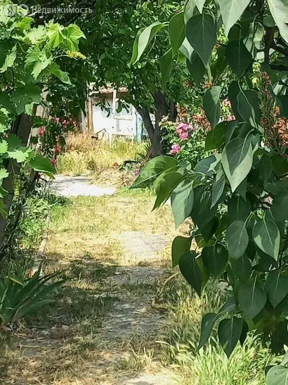 Дом в Республика Крым, муниципальный округ Феодосия, село Южное, ... - Фото 2