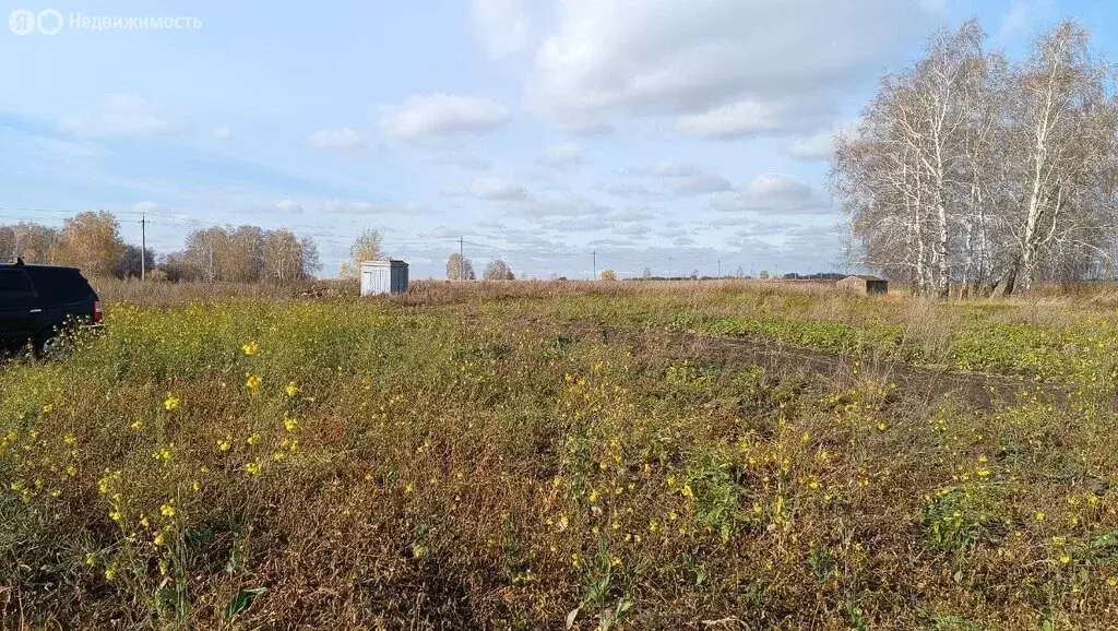 Участок в Ленинское, микрорайон Запрудный (12 м) - Фото 1