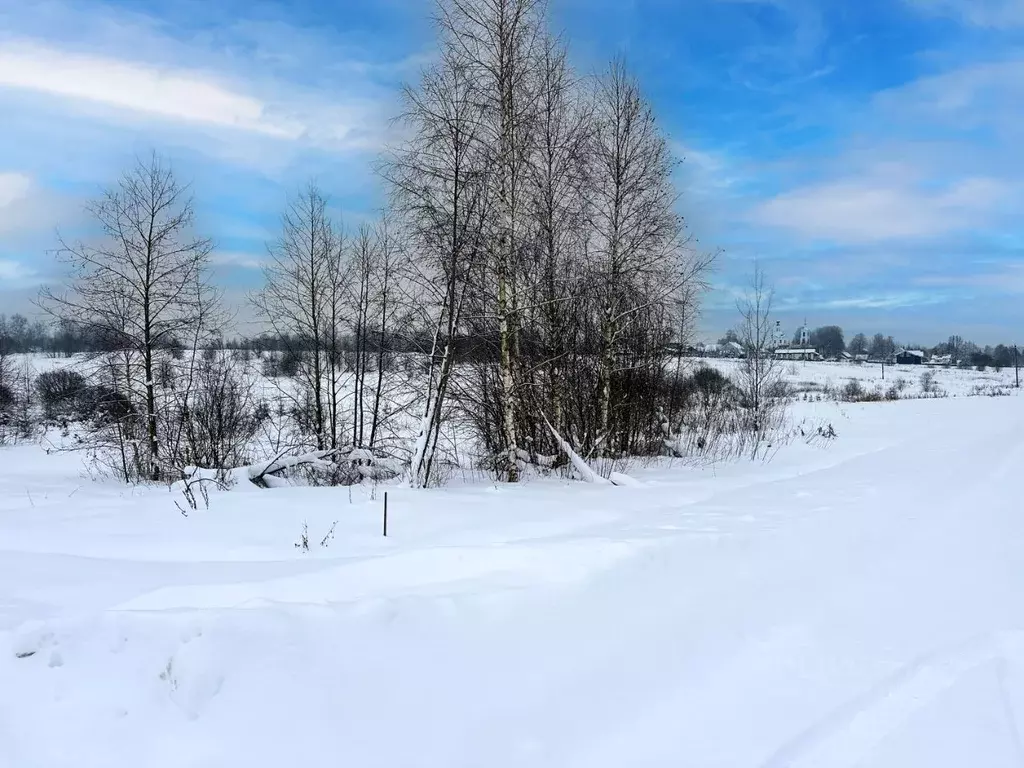 Участок в Московская область, Дмитровский муниципальный округ, Сбоево ... - Фото 1