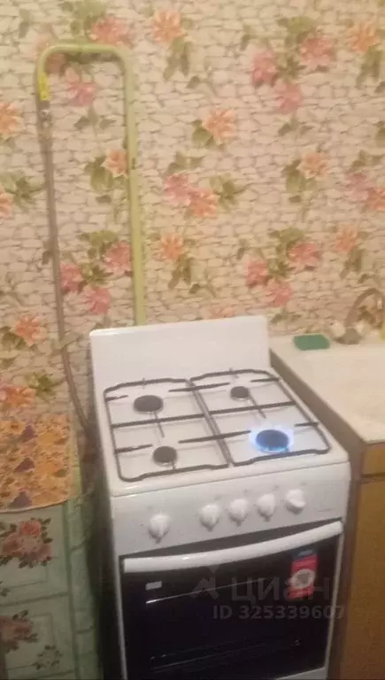 2-к кв. Московская область, Серебряные Пруды муниципальный округ, с. ... - Фото 2