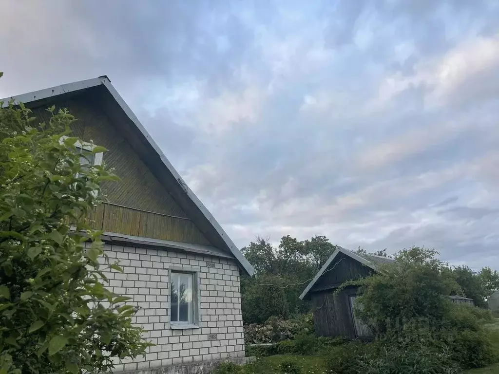 Дом в Ленинградская область, Кингисеппский район, Вистинское с/пос, д. ... - Фото 1