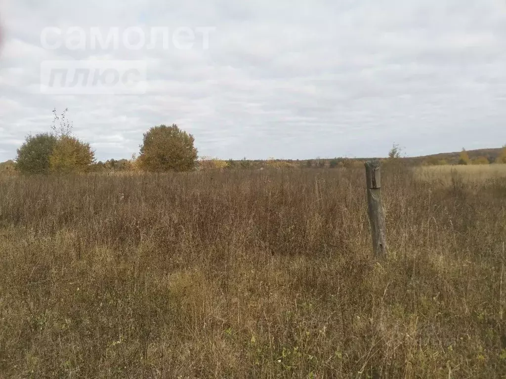 Участок в Чувашия, Мариинско-Посадский муниципальный округ, д. ... - Фото 1