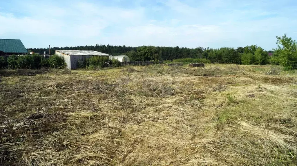 Дом в Свердловская область, Тугулым пгт ул. Красная (25 м) - Фото 1