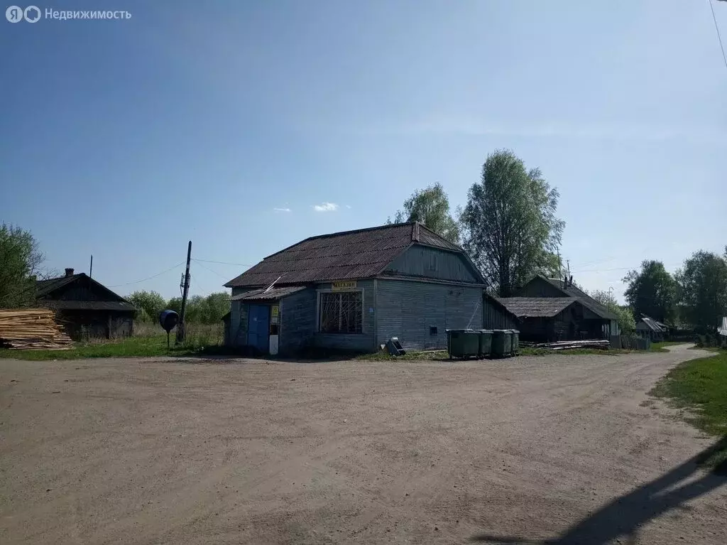 Участок в Вологодская область, Сокольский муниципальный округ, деревня ... - Фото 1