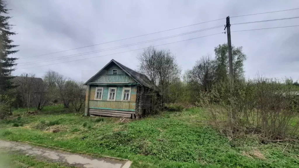 Участок в Новгородская область, Крестецкий муниципальный округ, д. ... - Фото 2