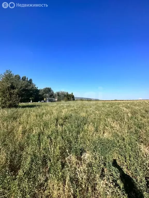 Участок в Бахчисарайский район, Железнодорожненское сельское ... - Фото 1