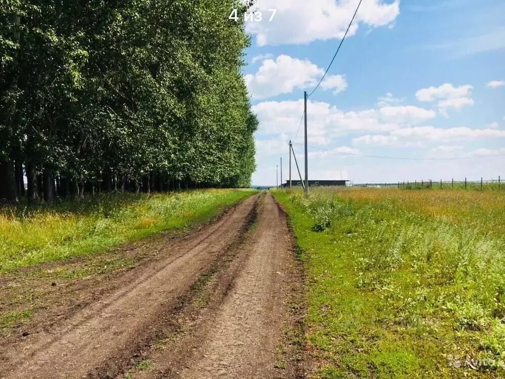 Участок в Башкортостан, Кармаскалинский район, Старомусинский ... - Фото 0