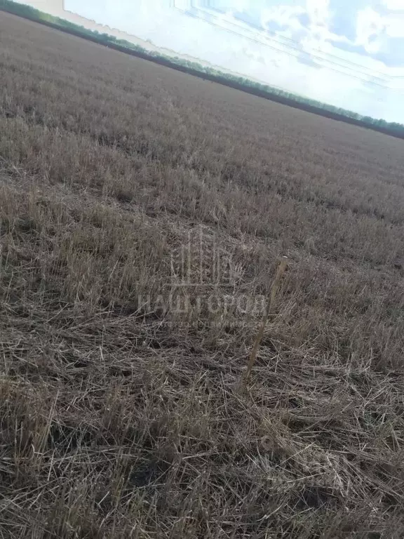 Участок в Тамбовская область, Тамбовский муниципальный округ, д. ... - Фото 1