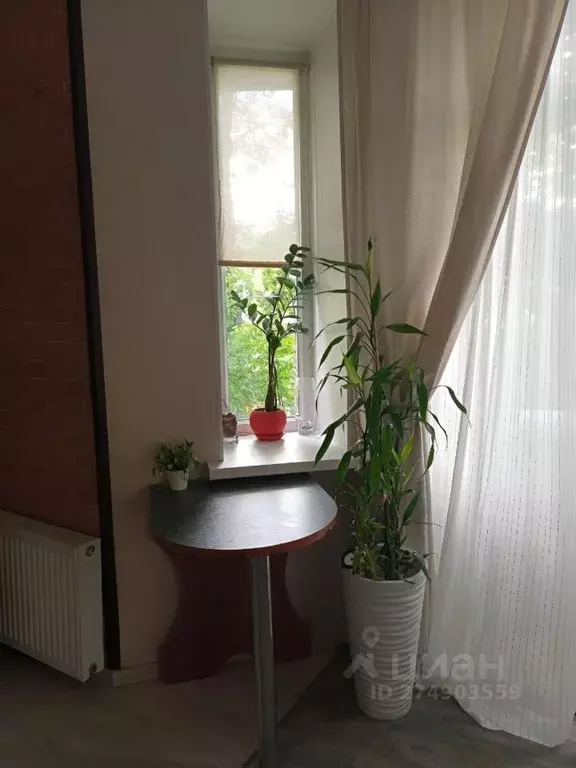 Комната Санкт-Петербург Андреевская ул., 7 (25.0 м) - Фото 0