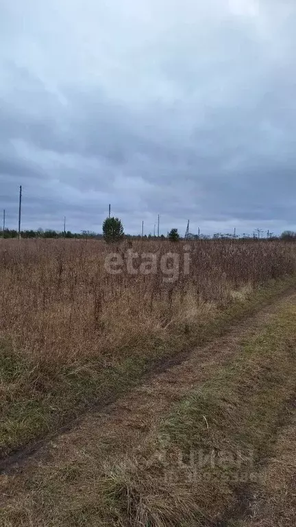 Участок в Пермский край, д. Заболото  (15.2 сот.) - Фото 1