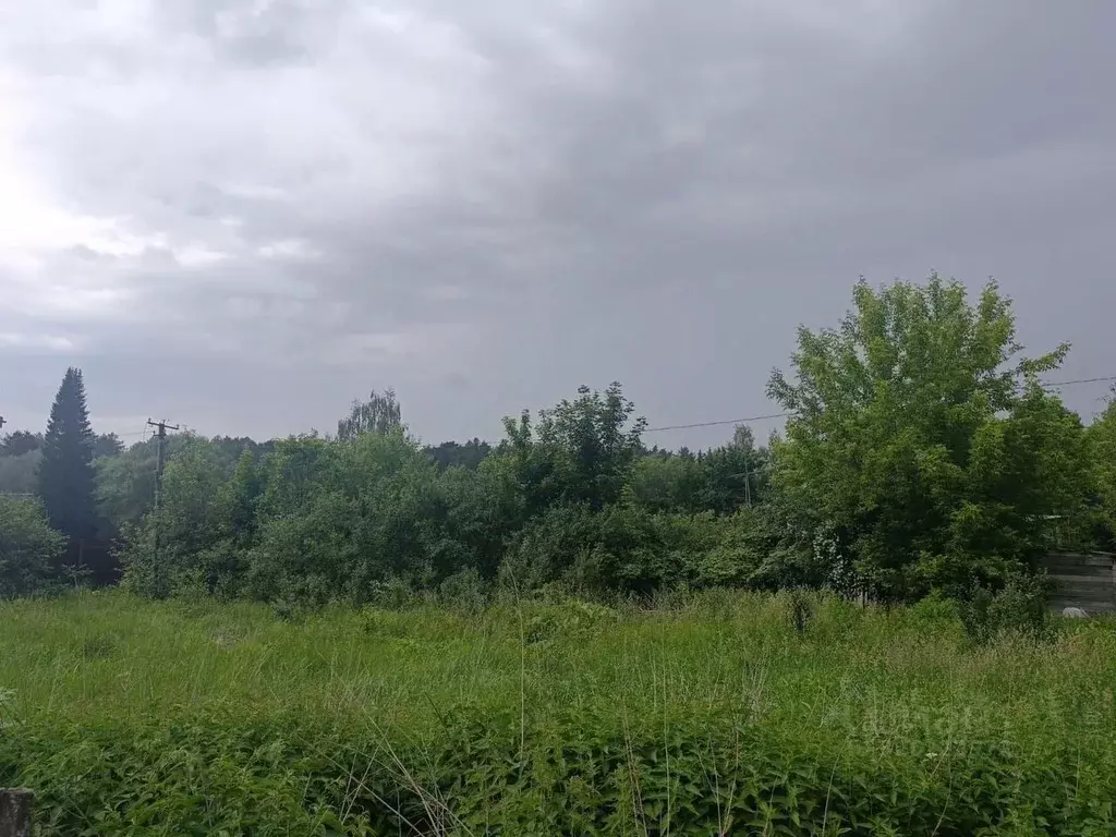 Участок в Москва Березка СМУ-16 СНТ, 105с1 (6.0 сот.) - Фото 2