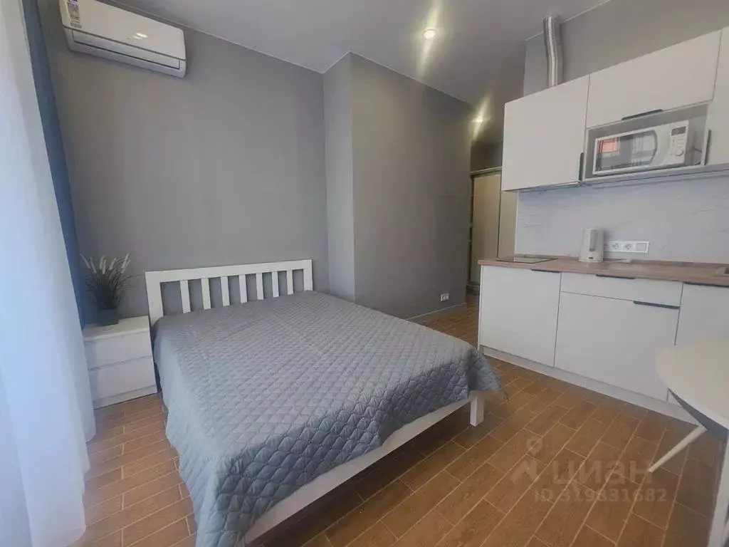Студия Краснодарский край, Сочи ул. Ленина, 290/7к4 (25.0 м) - Фото 1