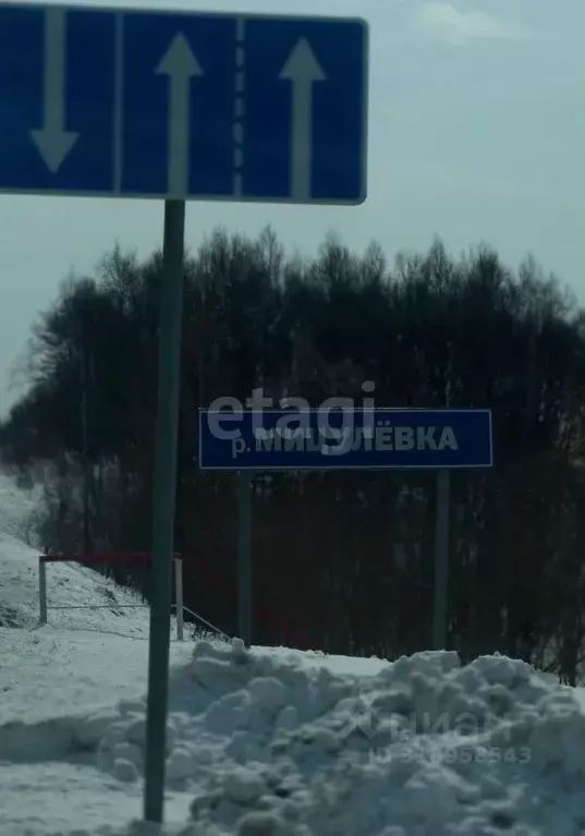 Участок в Сахалинская область, Анивский городской округ, с. Мицулевка  ... - Фото 1