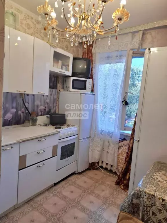 1-к кв. Курганская область, Курган ул. Урицкого, 151 (30.2 м) - Фото 1