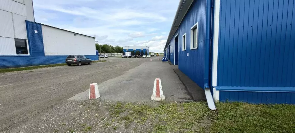 Склад в Алтайский край, Барнаул тракт Павловский, 200 (377 м) - Фото 2